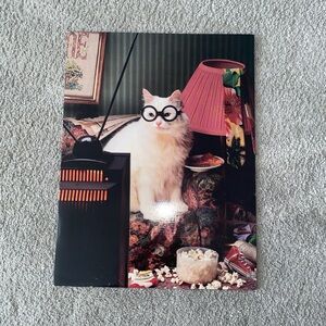 Vintage Pocket Ports! Union‎ Camp Corporation Portfolio Folder Cat Watching TV